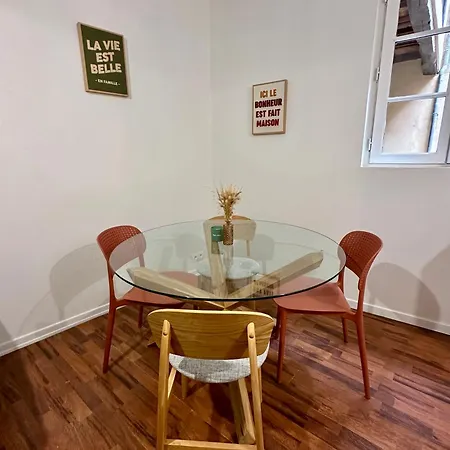 Terrasse A 200m De La Cathedrale - 4 Personnes - Entierement Renove Apartmán Albi