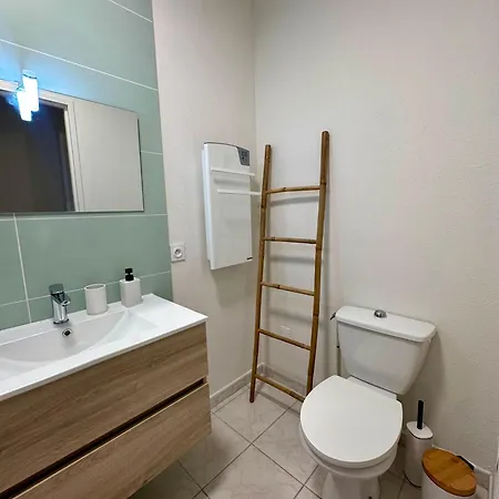 Terrasse A 200m De La Cathedrale - 4 Personnes - Entierement Renove * Albi