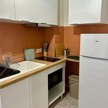 Terrasse A 200m De La Cathedrale - 4 Personnes - Entierement Renove Albi