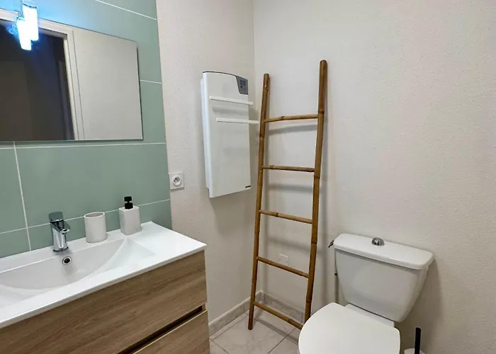 Terrasse A 200m De La Cathedrale - 4 Personnes - Entierement Renove * Альби