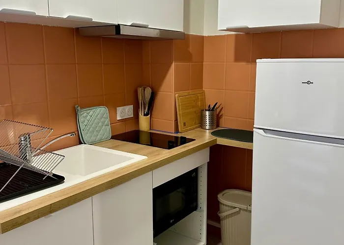 Terrasse A 200m De La Cathedrale - 4 Personnes - Entierement Renove Альби